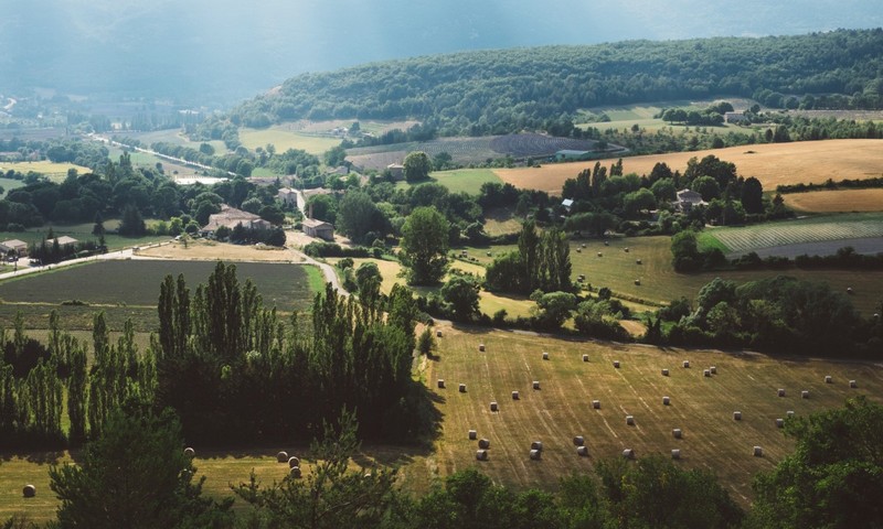 paysage aménagé