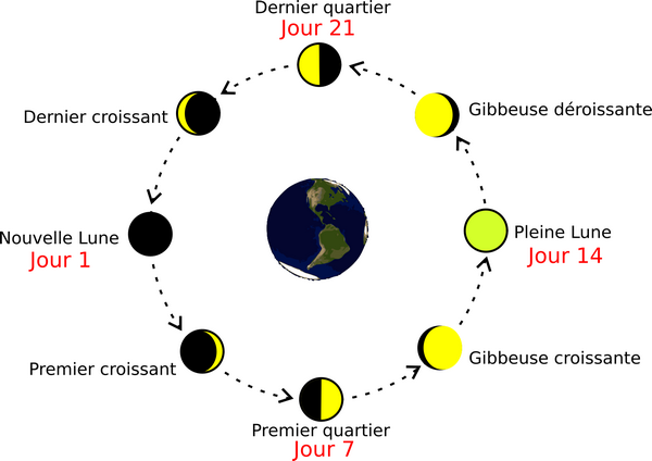 phases de la lune