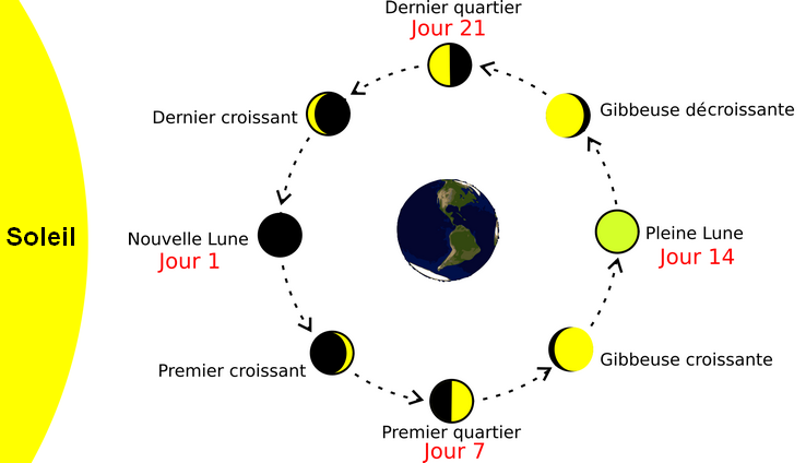 phases de a lune